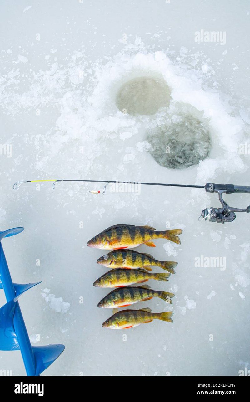 Experience the Thrill of Ice Fishing in the UK's Chilly Winter Months, ice fishing casino Experience the Thrill of Ice Fishing in the UK's Chilly Winter Months, ice fishing casino